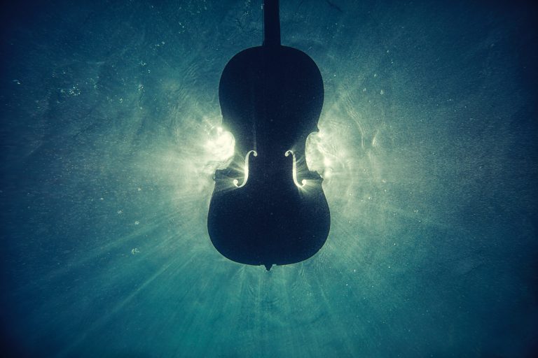 بیت VIOLINZE