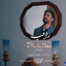 تیزر موزیک ویدیوی ” تو را که دیدم ”.mp4